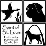 Spirit of St. Louis Labrador Retriever Club