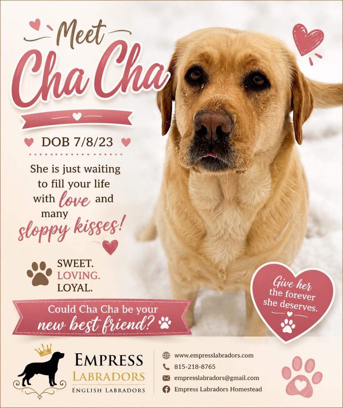 ./cha_poster_1784479664827