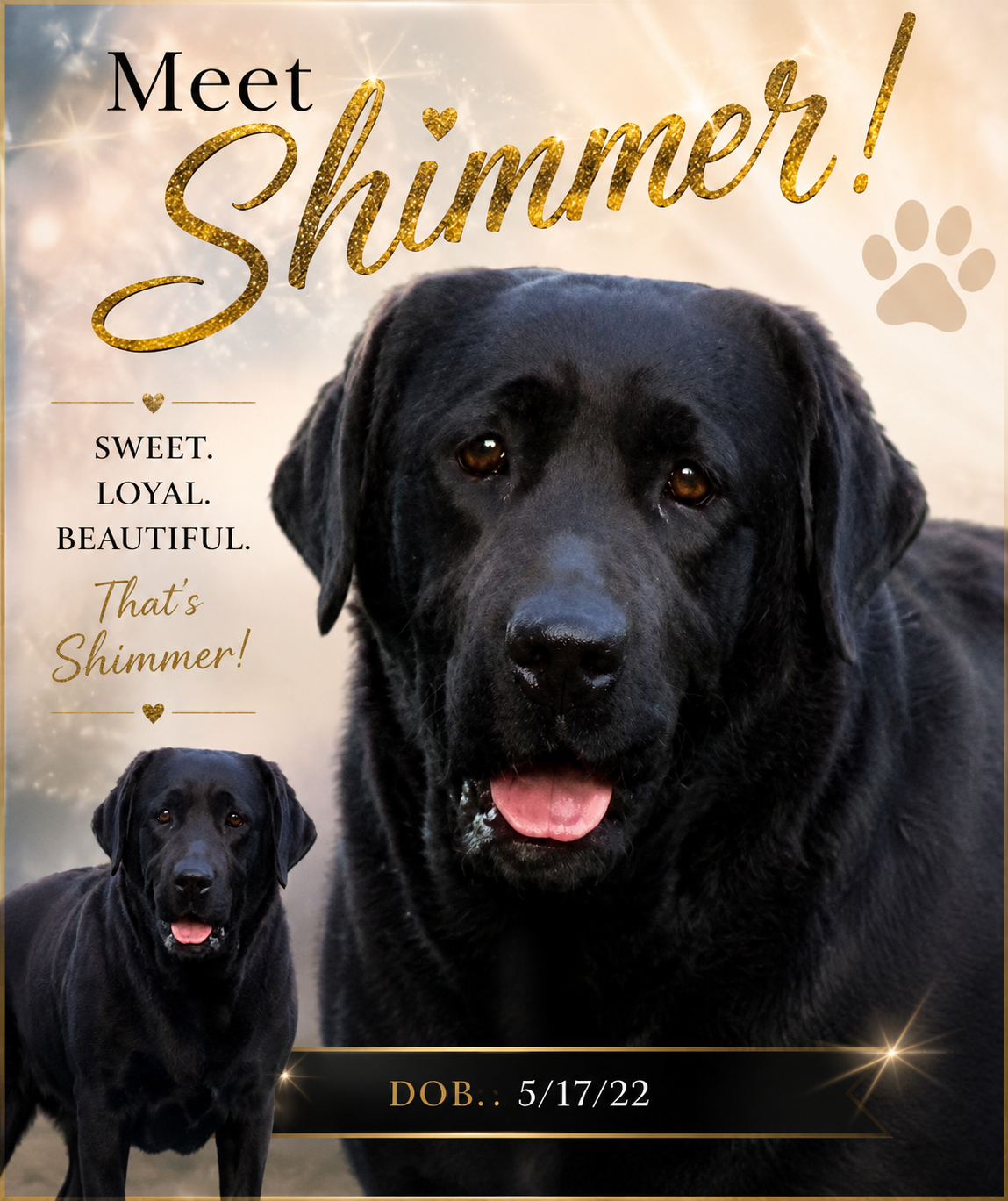 ./shimmerposter_1784480690997